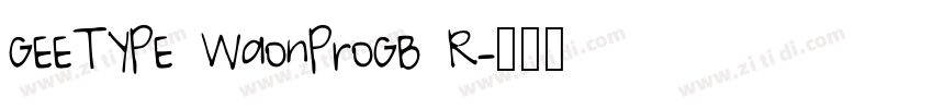 GEETYPE WaonProGB R字体转换